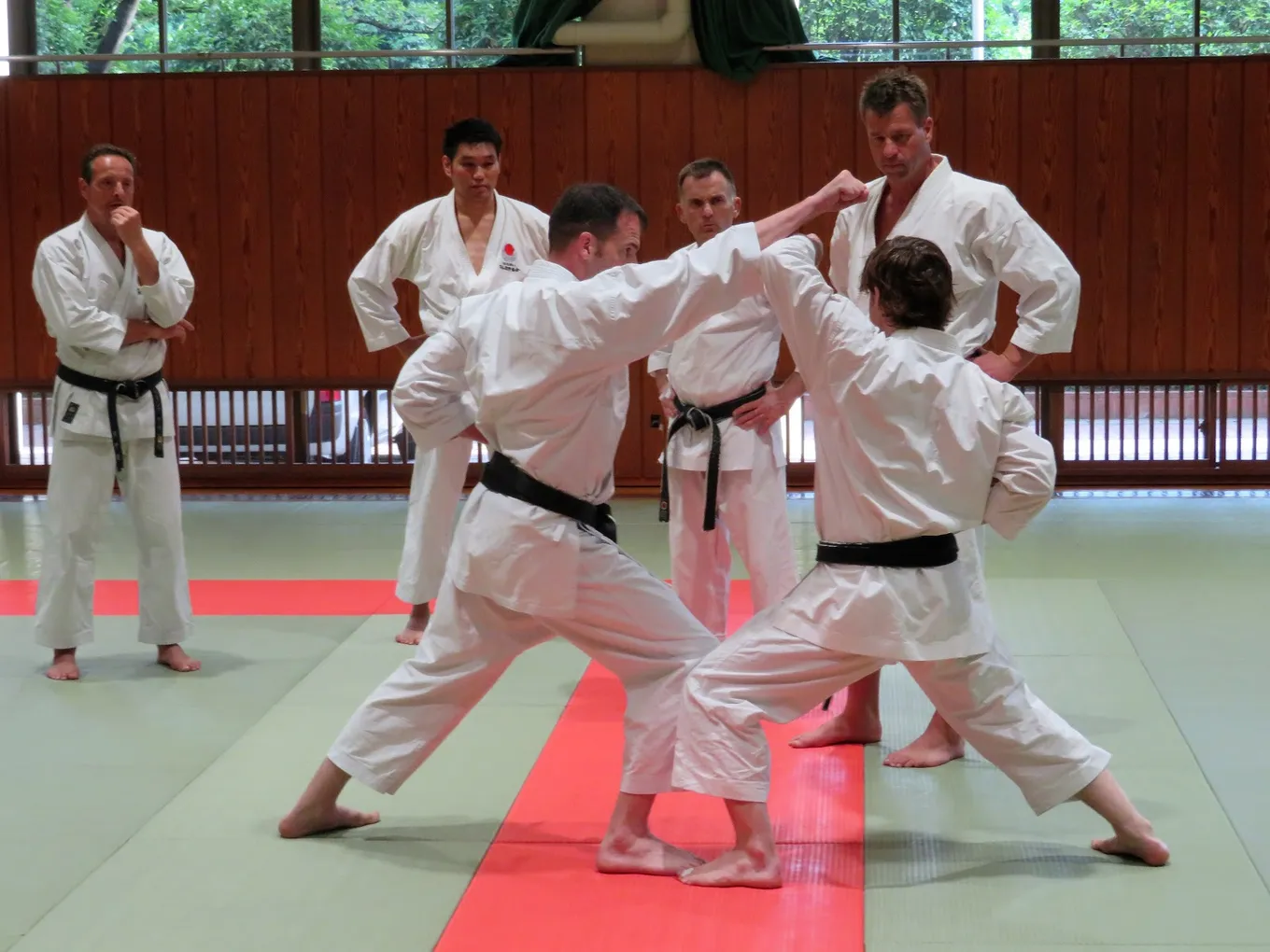 СРЯДА,29.10.25, 11.00-ШОТОКАН КАРАТЕ-ДО-СЛЕД ТРИУМФА НА СВЕТОВНОТО ПЪРВЕНСТВО ЗА МЪЖЕ И ЖЕНИ В ПОЛША-4-МА СВЕТОВНИ ШАМПИОНИ